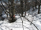 44 Sulla neve ora molle